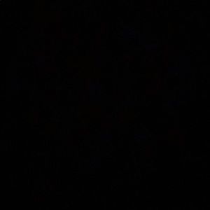 Meet your Posher, Jaylah